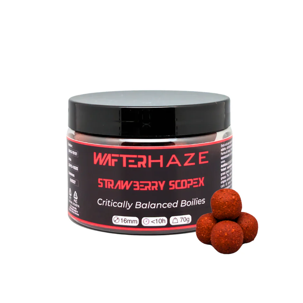 WAFTERHAZE - Image 7
